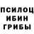 Галлюциногенные грибы Psilocybine cubensis Shane Timms