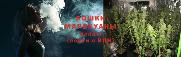 apvp Михайлов