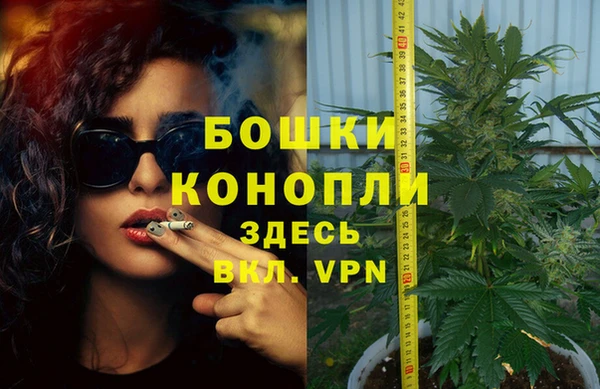 МДПВ Верея