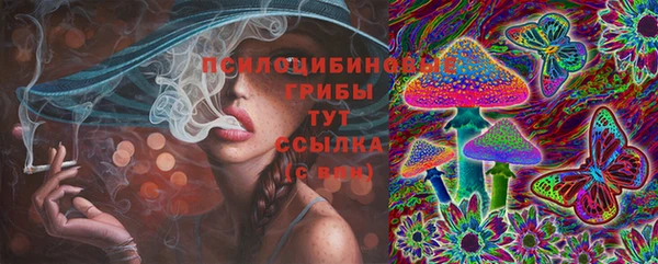 МДПВ Верея