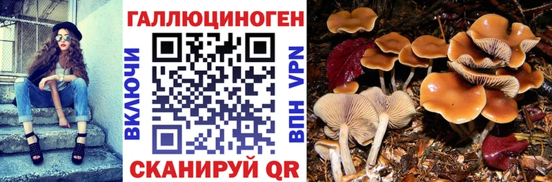 Галлюциногенные грибы мухоморы  Волосово 